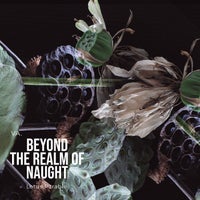 VA - VA Beyond The Realm of Naught [LPR001]
