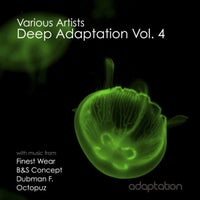 VA - Deep Adaptation Vol. 4 AMC018