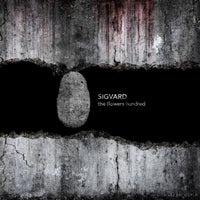 Sigvard - Nightlife Miracles album artwork