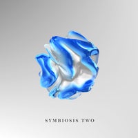 VA - Symbiosis Two [IMPRSSM015VA]