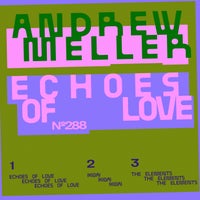 Andrew Meller - Echoes Of Love album artwork