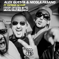 Alex Guesta & Nicola Fasano - Push the Feeling (feat. Fatman Scoop) album artwork