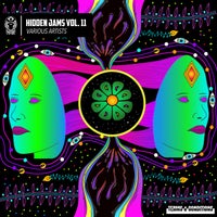 VA - Hidden Jams Vol. 11 TNCRHJ11