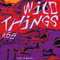Josh Gigante - Wild Things album artwork