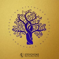 VA - Steyoyoke Perception, Vol. 09 [SYYKPERC009] [FLAC]