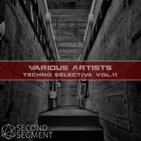 VA - Techno Selectiva Vol.11 [Second Segment Records]