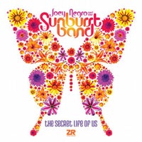 Dave Lee & The Sunburst Band - Definition of Luv (feat. Diane Charlemagne) [Joey Negro Extended Mix] album artwork