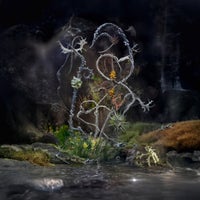 Maude Vôs - Jasmine Season album artwork