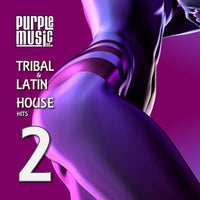 VA - Latin & Tribal House Hits 2 - (Purple Music)