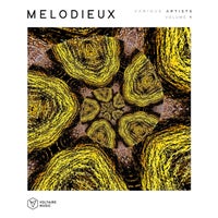 VA - Melodieux Vol. 1 [VOLTCOMP1091]