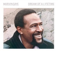 Marvin Gaye - Sanctified Lady album artwork