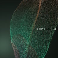 In Anima - XXY (Edit) album artwork
