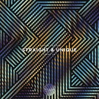VA - Straight & Unique Issue 39 [FLAC]
