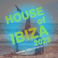 VA - House Of Ibiza 2023 [KSD480]