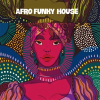 VA - Afro Funky House IRM2161