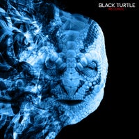 VA - Btr Winter 2022 BTW024 Black Turtle Records