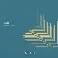 DJ PP - Desert Night album artwork