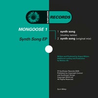 Mongoose 1 - Synth Song album artwork