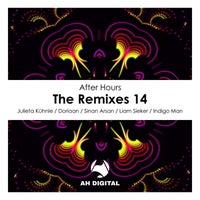 VA - After Hours the Remixes 14 [AHD260][FLAC]