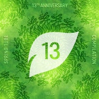VA - Spring Tube 13th Anniversary Compilation Pt. 2 [Spring Tube]