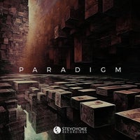 VA - Steyoyoke Paradigm Vol. 10 SYYKPARA010