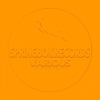 VA - Spirngbok Records Various Signature SBK306