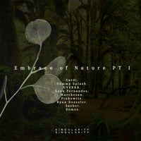 VA - Embrace of Nature PT I [SING01] [AIFF]
