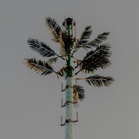 DJ Balduin - P4x4 album artwork