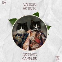 VA - Grooves Sampler [Conga For Life]