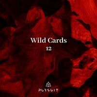 VA - Wild Cards 12 [PRST050]