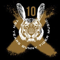 VA - Bunny Tiger 10 Years Anniversary BTANNI10