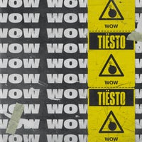Tiësto - Wow (Mix Cut) album artwork