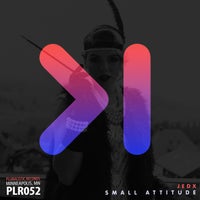 JedX - Small Attitude [Pluralistic Records]