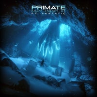 Primate & Ekstatic - Don't Forget Me album artwork