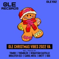 VA - Ole Christmas Vibes 2022 VA [Ole Rec]