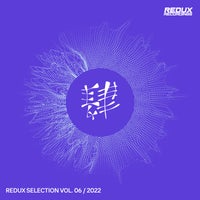 VA - Redux Selection, Vol. 6 , 2022 [Redux Digital]