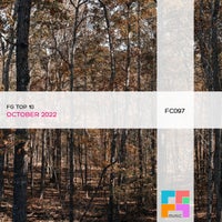 VA - FG Top 10 October2022 [FC097]