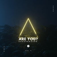 VA - Are You Underground Vol. 4 [Time2Fly Records]