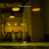 VA - Hotel Lounge Music Selection [Traumnovelle]