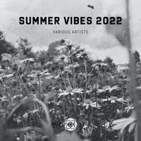 VA - Summer Vibes 2022 [Another Life Music]
