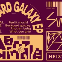Dam Swindle - Backyard Galaxy album artwork