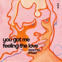 Sentin & IMAN - You Got Me Feeling The Love album artwork