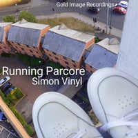 Simon Vinyl - Running Parcore [Gold Image Recordings]
