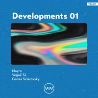 VA - Developments 01 [Traful]