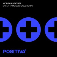 Morgan Seatree & Sub Focus - Say My Name (Sub Focus Remix) album artwork