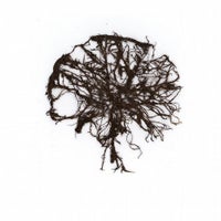 Damien Lazarus & Matthew Styles & John Tejada - Paranoia album artwork