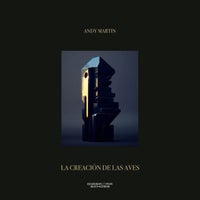 Andy Martin - The Observer is the Observed album artwork