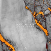 Halogenix - Blej Vip album artwork