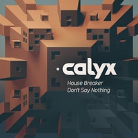 Calyx - House Breaker album artwork