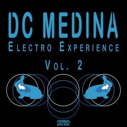 Electro Experience Vol. 2